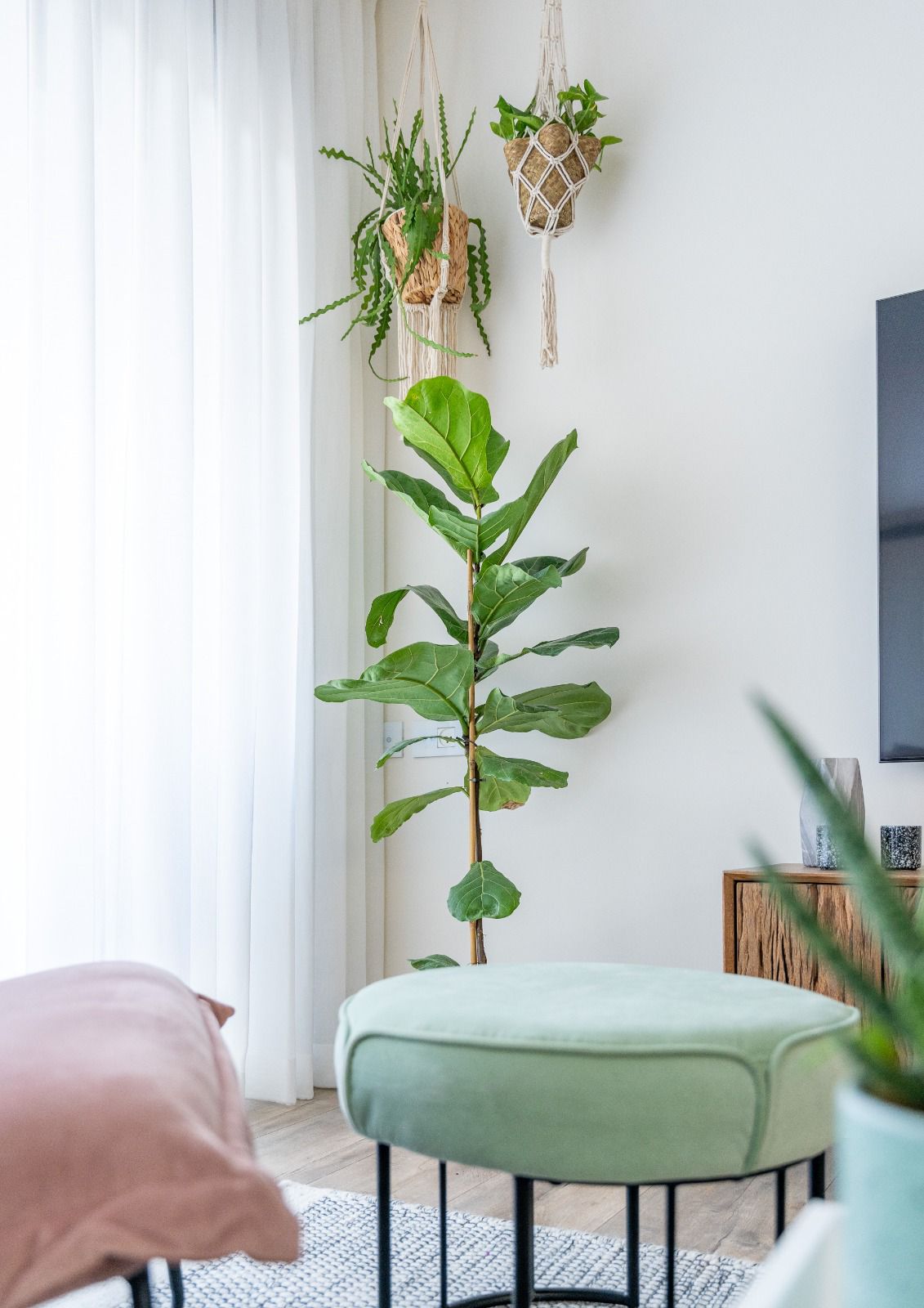 WhatsApp Image 2025-12-22 at 10.30.18