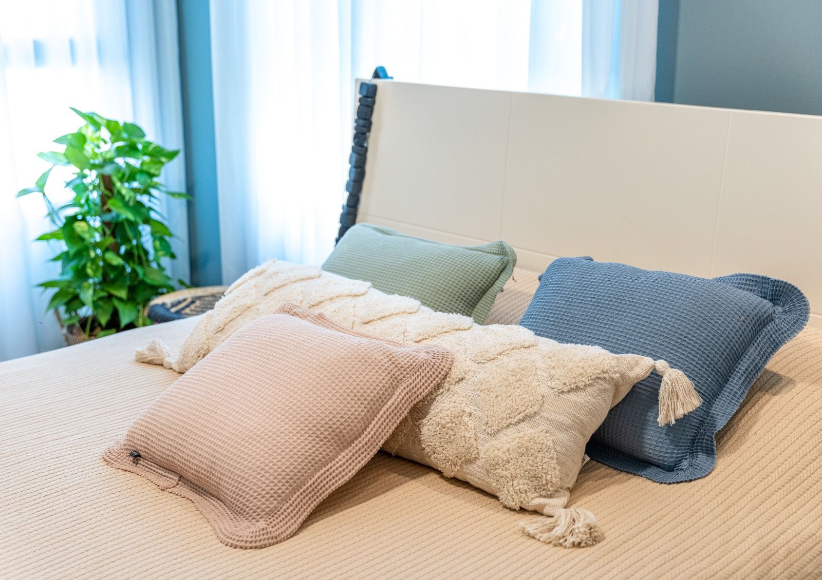 WhatsApp Image 2025-12-22 at 10.30.18(1)