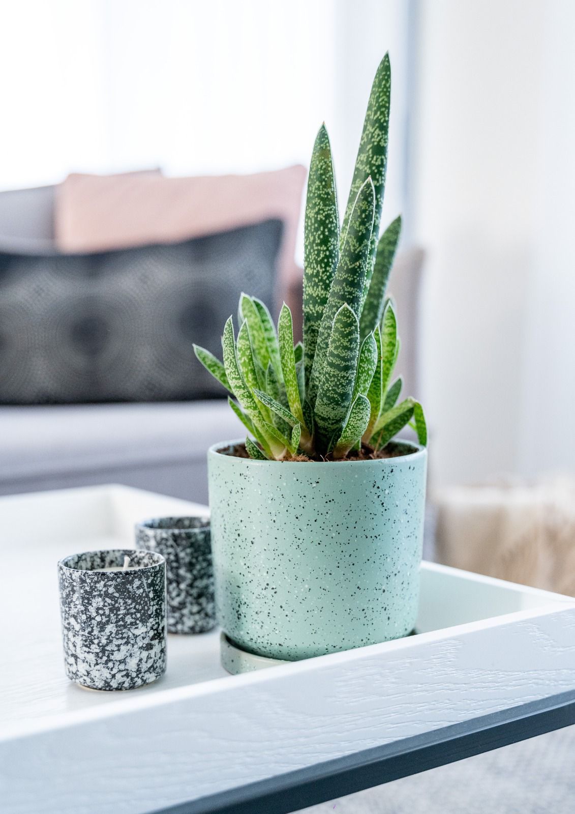 WhatsApp Image 2025-12-22 at 10.30.18(2)