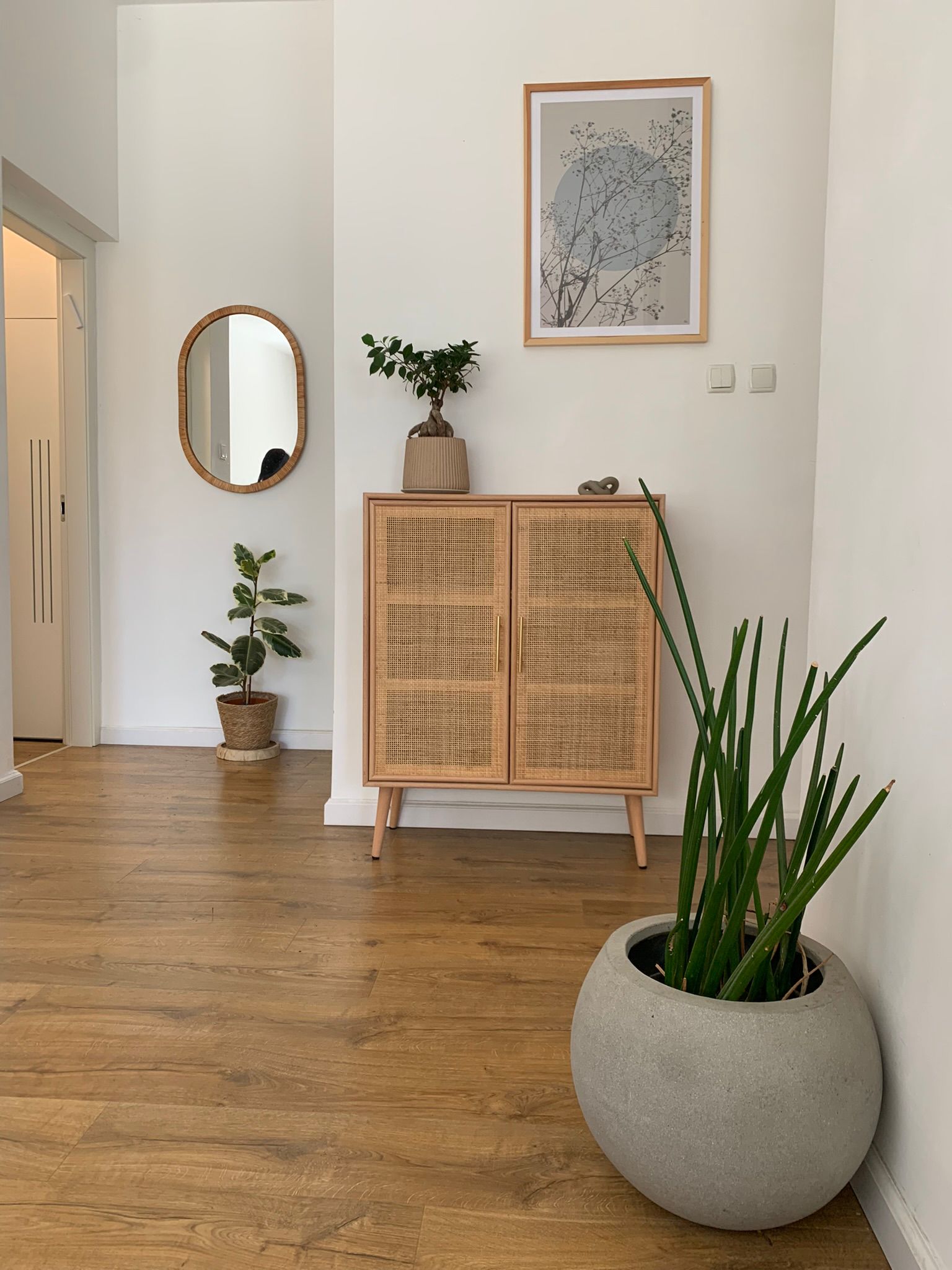 WhatsApp Image 2025-12-22 at 12.17.46